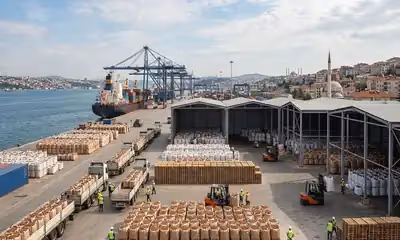Turkey Emerges as Growing Almond Export Destination as India Volumes Decline