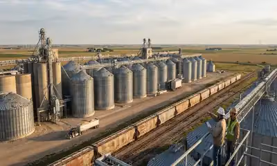 Global Corn Ending Stocks Climb to 281.22 Million Metric Tons in June WASDE