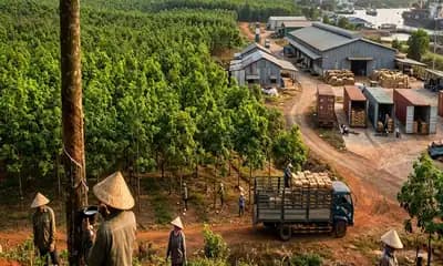 Natural Rubber Rises on Energy Market Rebound as Yen Weakness Adds Further Support for International Buyers